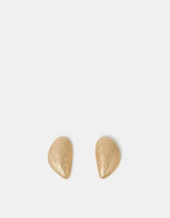 Accessorize Brushed Seashell Stud Earrings