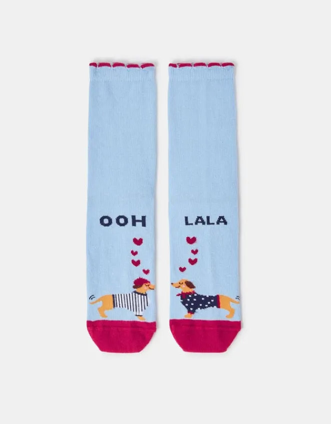 Accessorize French Dogs In Love Socks