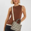 Accessorize Mini Woven Stripe Handbag