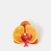 Accessorize Orchid Flower Claw Clip