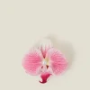 Accessorize Orchid Hair Clip Pink