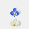 Accessorize 2-Pack Orchid Hair Slides