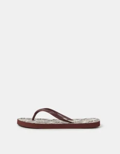 Accessorize Shell Print Flip Flops Brown